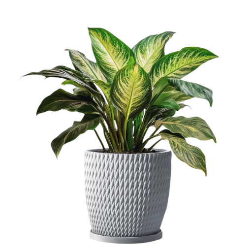 Kwiaty doniczkowe i drzewa